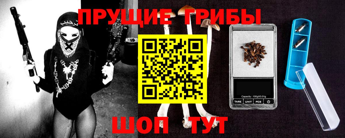 Псилоцибиновые грибы прущие грибы  наркотики  Протвино  Вход с VPN 