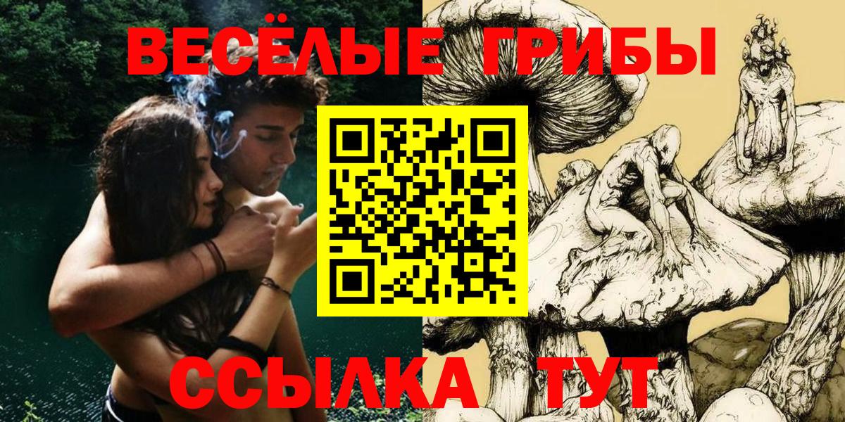 Псилоцибиновые грибы Cubensis Протвино